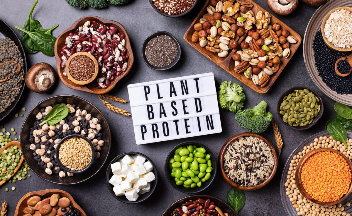 Beautiful view of Plant-Based Protein For Muscle Growth