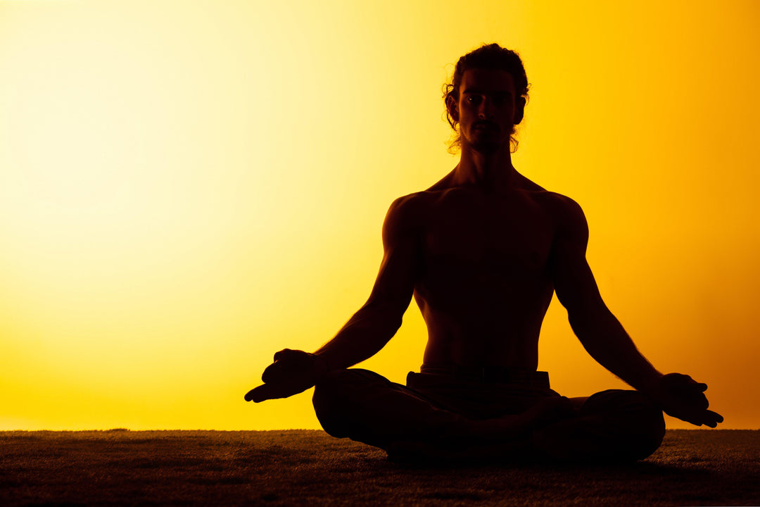 Understanding Yoga - Kriya Fit