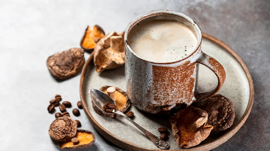 Everything About Mushroom Coffee: What’s the Hype All About