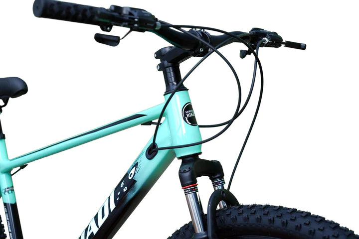 Mayur - 21 Gear Cycle - 27.5T - Sea Green