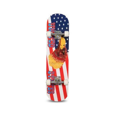 Maple USA 31 inch 8 inch x 6 inch Skateboard (Multicolor | Pack of 1)
