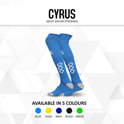 Unisex Knee High (Pack of 2) Free Size (Blue)