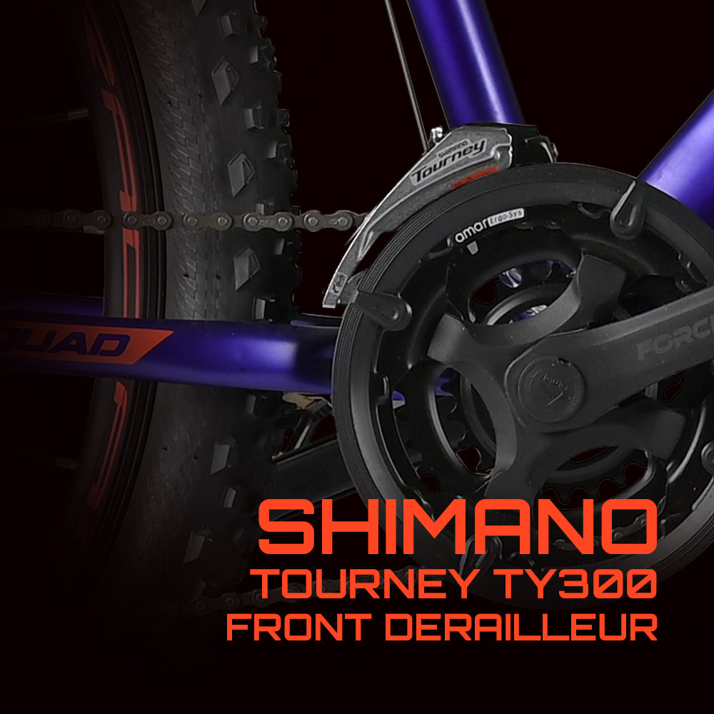 Squad 29 T Mountain/ Hardtail Cycle (21 Gear, Blue, Red)