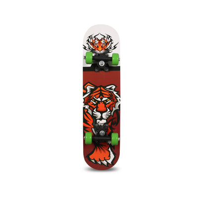 Pace Tiger 24 Inch 6 inch x 4 inch Skateboard (Multicolor | Pack of 1)