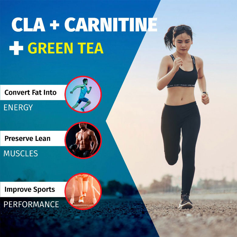 CLA+Carnitine 30Servings | Pineapple Mango