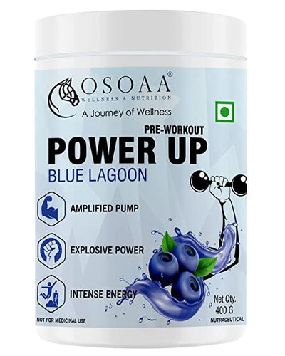 Power Up Pre-Workout Supplement with L-Arginine - 400 gm [Blue Lagoon] - Kriya Fit