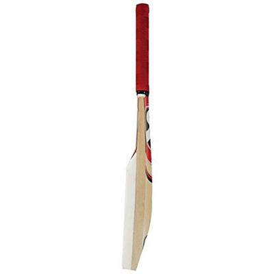 Catch Cricket Bat (Color May Vary) - Material: Wood