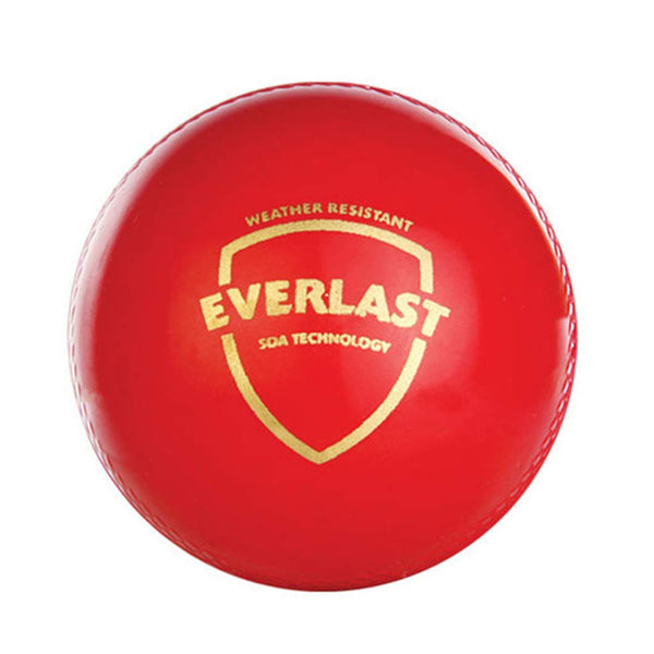 Everlast Leather Cricket...