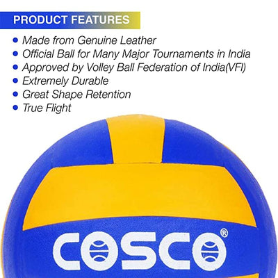Leather Pasted Volleyball (Size 4)
