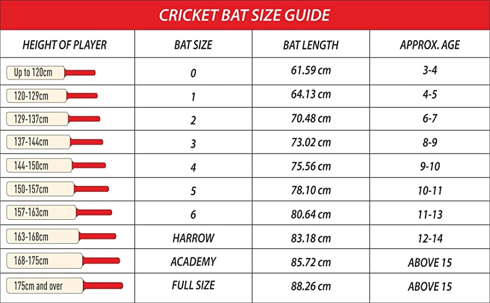 Wildfire Volcano Kashmir Willow Cricket Bat Short Handle Mens