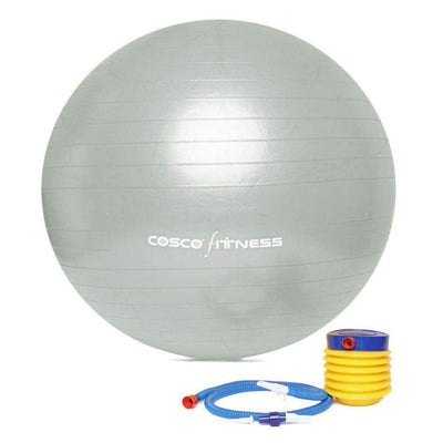 Gym Ball (Size 95Cm) Silver