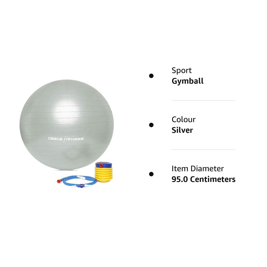 Gym Ball (Size 95Cm) Silver