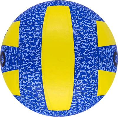 Aspire Volleyball (Pu Leather Pasted 18 Panel | Multicolor)