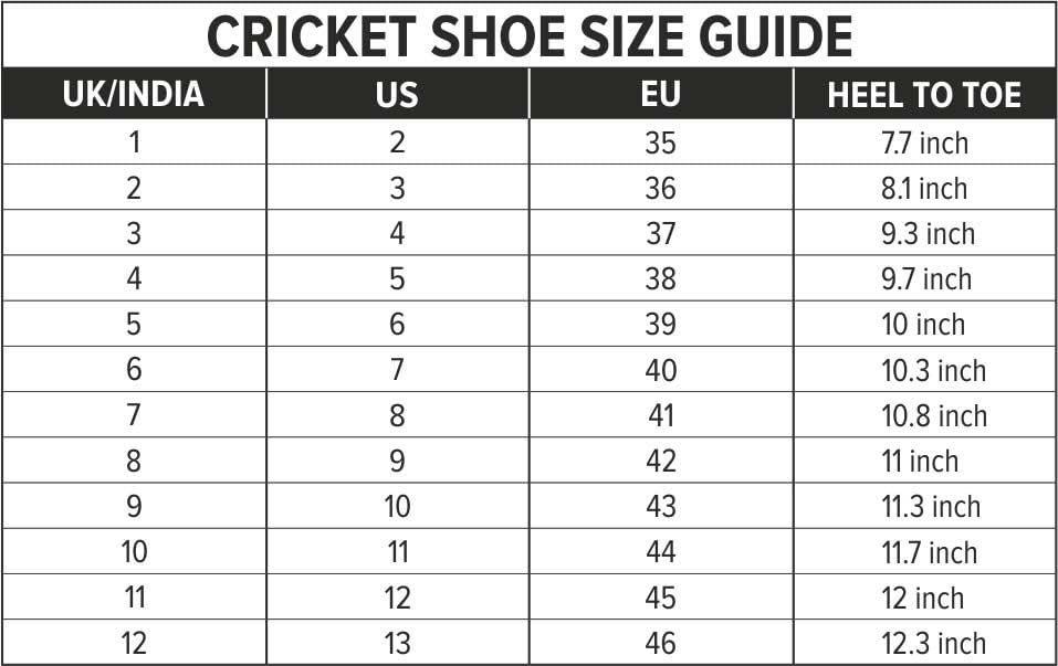 Beamer Cricket Shoe for Men & Boys (Light Weight | Economical | Durable |  Grey-White