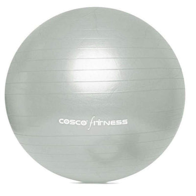 Gym Ball (Size 95Cm) Silver