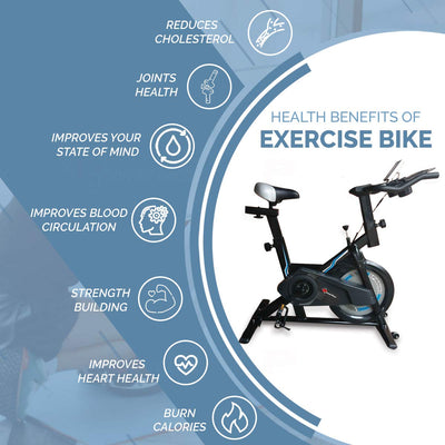 BS-150 Spin Exercise Bike for Home Use [10Kg Flywheel | Max User Weight 110kg | LCD Display | Belt Drive | 3pc Crank | Anti-slip Pedal and Adjustable Seat] 1 Year Manufacturer Warranty