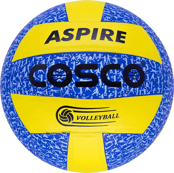 Aspire Volleyball (Pu...