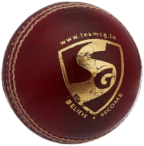 Bouncer Leather Ball...