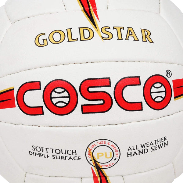 Gold Star Volley...