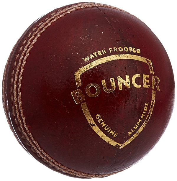 Bouncer Leather Ball...