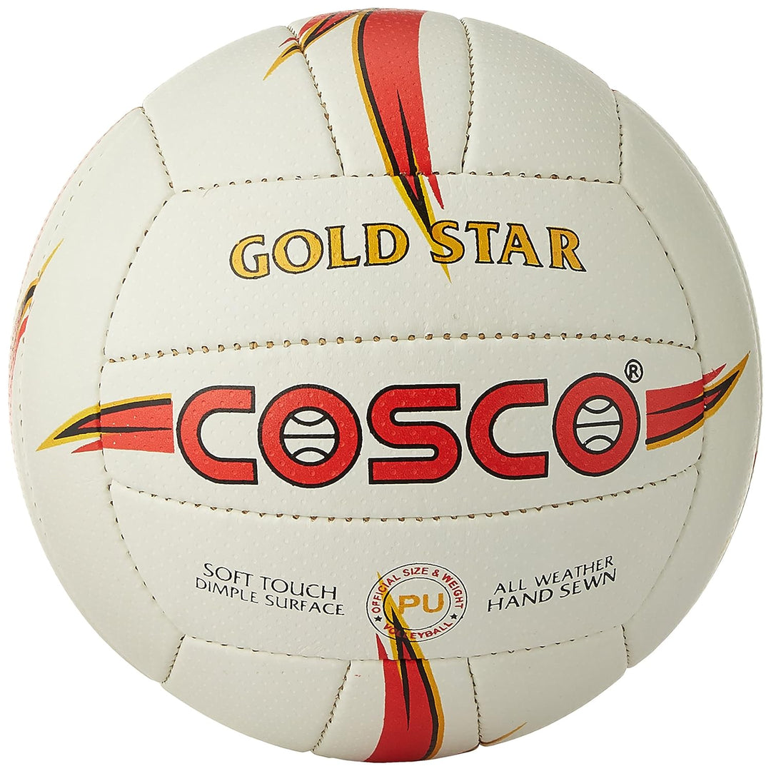 Goldstar Leather Volleyball | Size 4 (White)