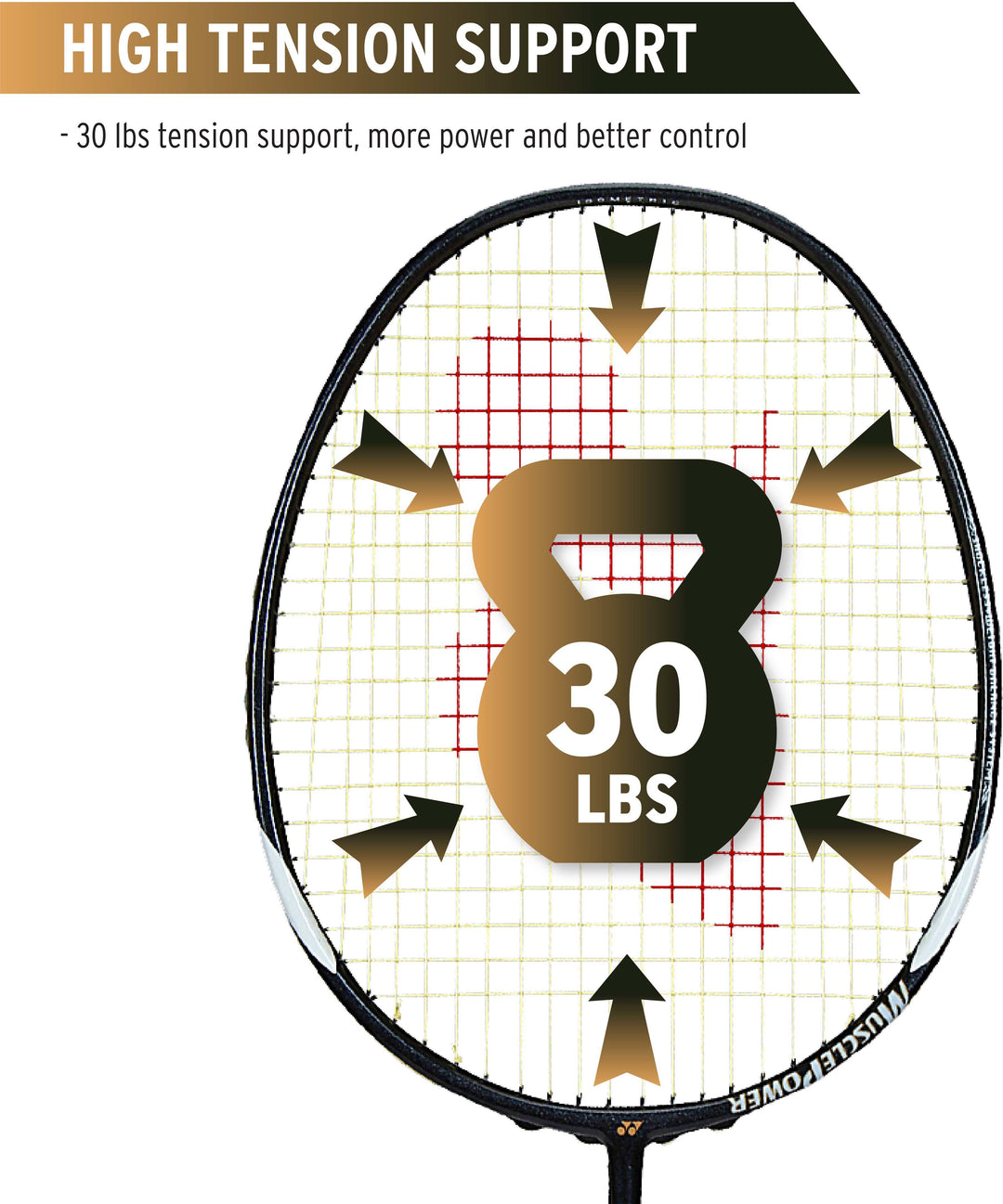 Muscle Power 29 Light