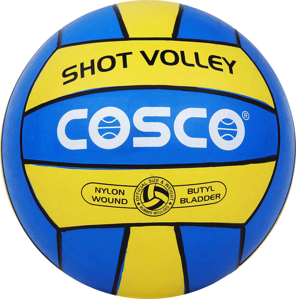 Shot Volleyball